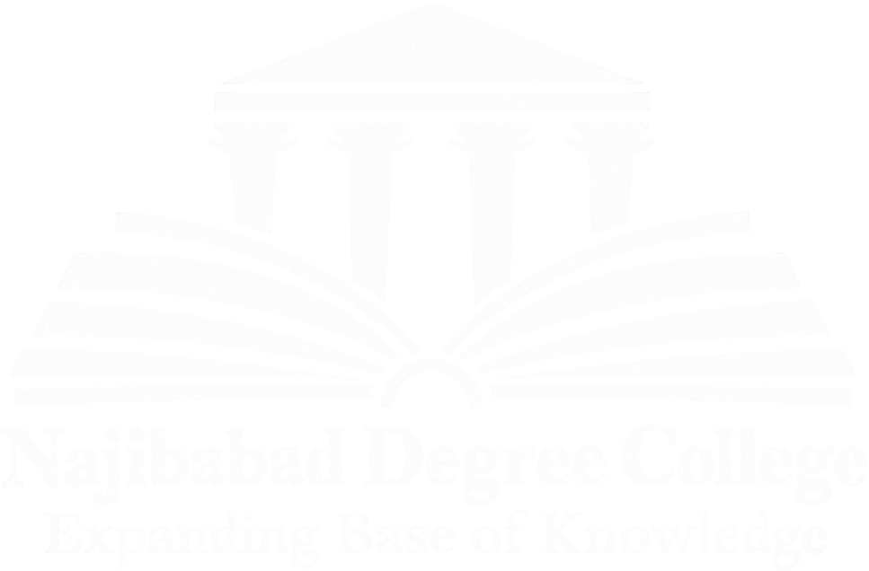 Najibabad Degree College